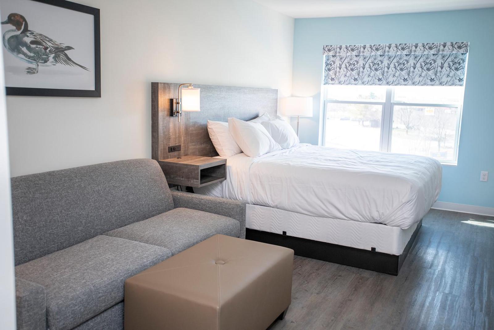 The Nest Hotell Greenfield Exteriör bild